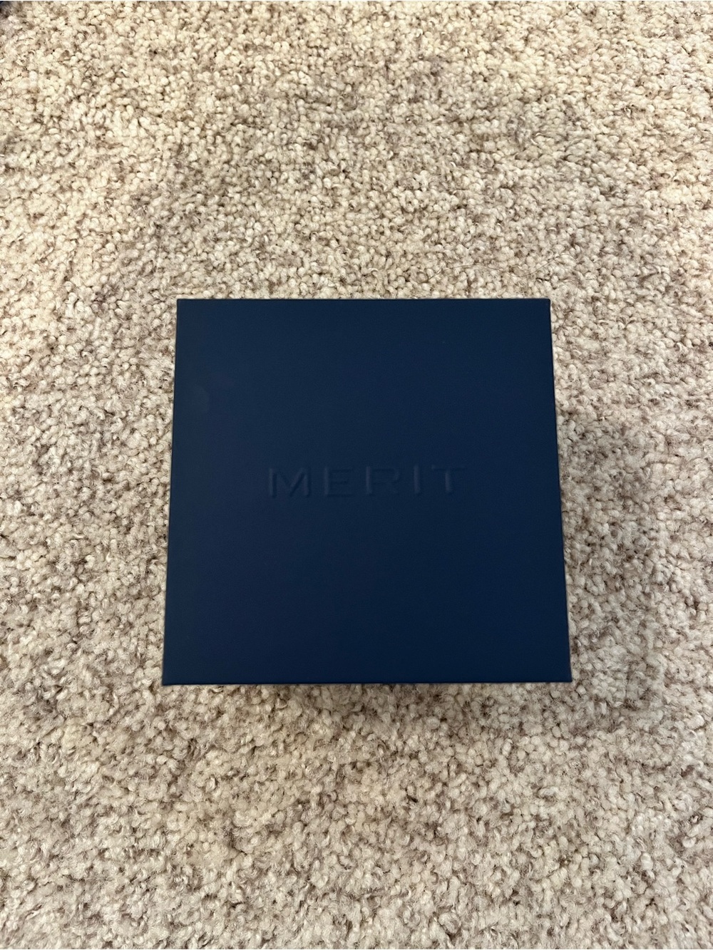 Merit Retrospect - Picture 4 of 8